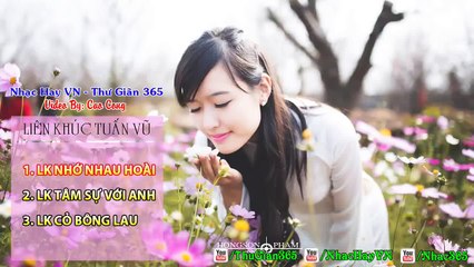 Liên Khúc Tuấn Vũ 1 - Liên khúc Nhạc Vàng Tuấn Vũ