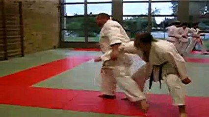 Técnicas de Karate Shotokan