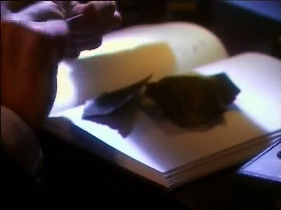 Nikola Tesla Erfinder und Visionär German