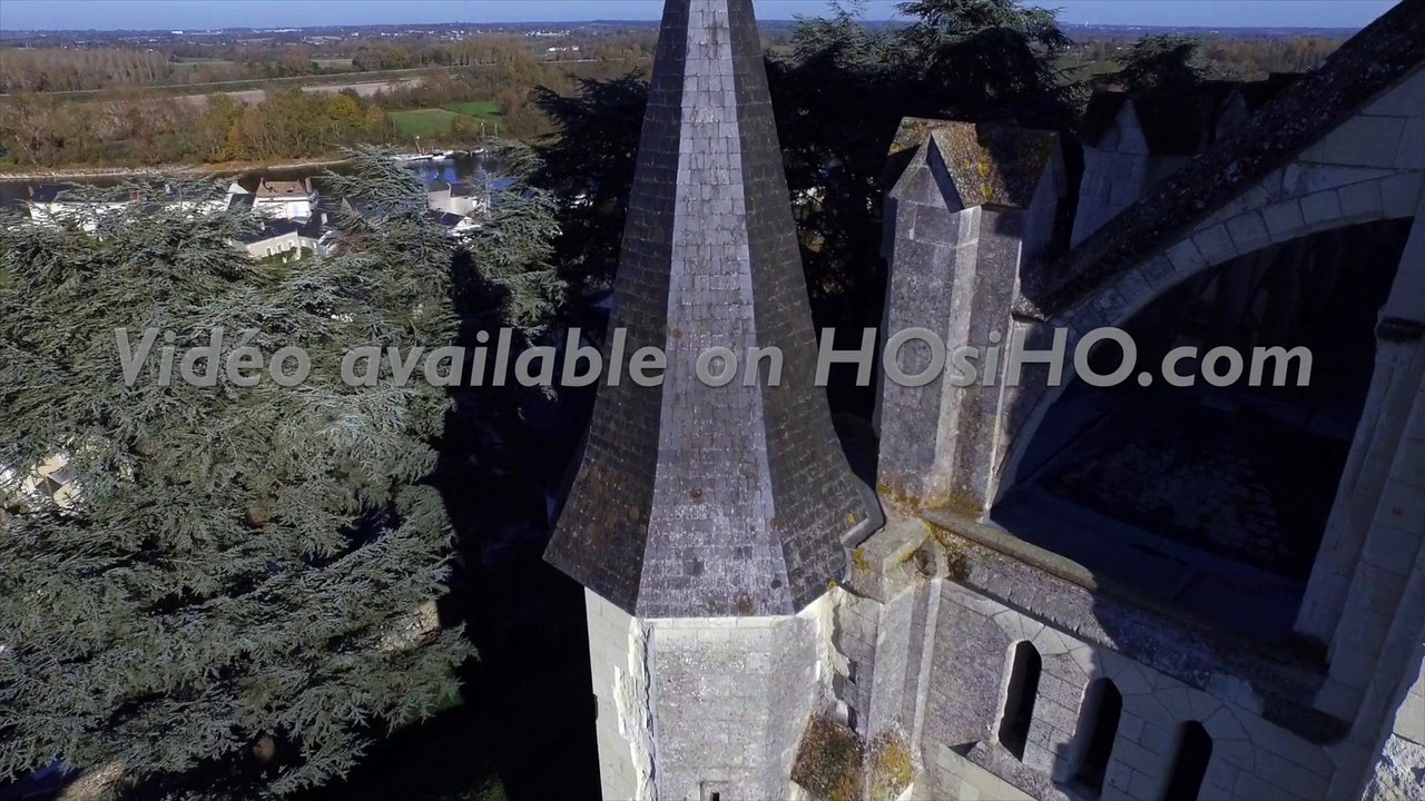 Eglise Saint Symphorien de Montjean sur Loire, vue par drone en automne, Pays de La Loire, France (14)