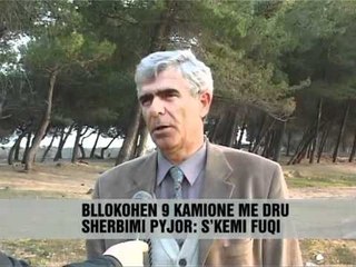Shkatërrim masiv pyjeve - Vizion Plus - News - Lajme
