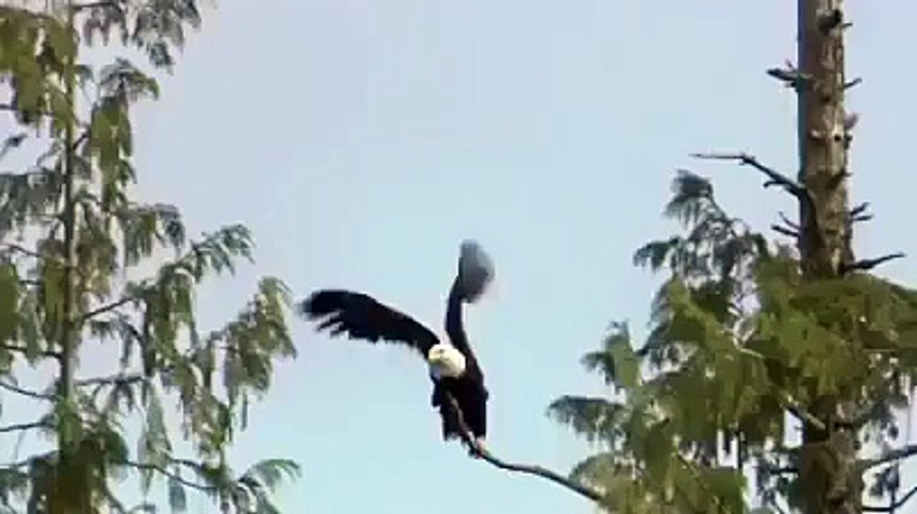 سبحان الله