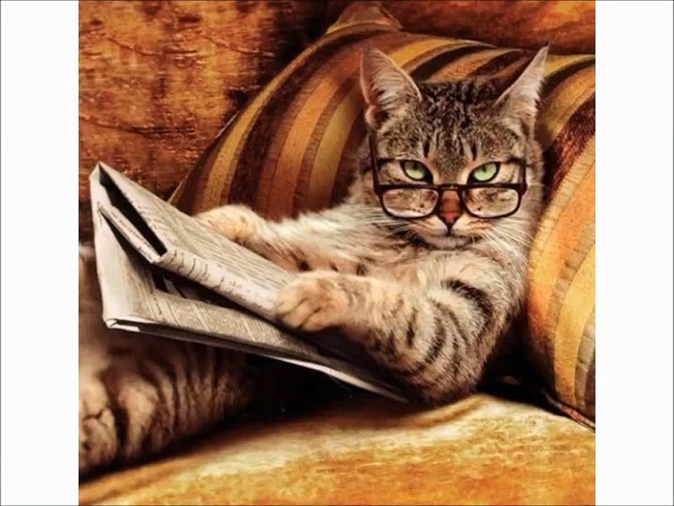 Funny Sexy Girl Accident Compilation