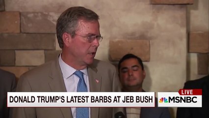 Jeb Bush Says  Anchor Babies 'More Related To Asian People'