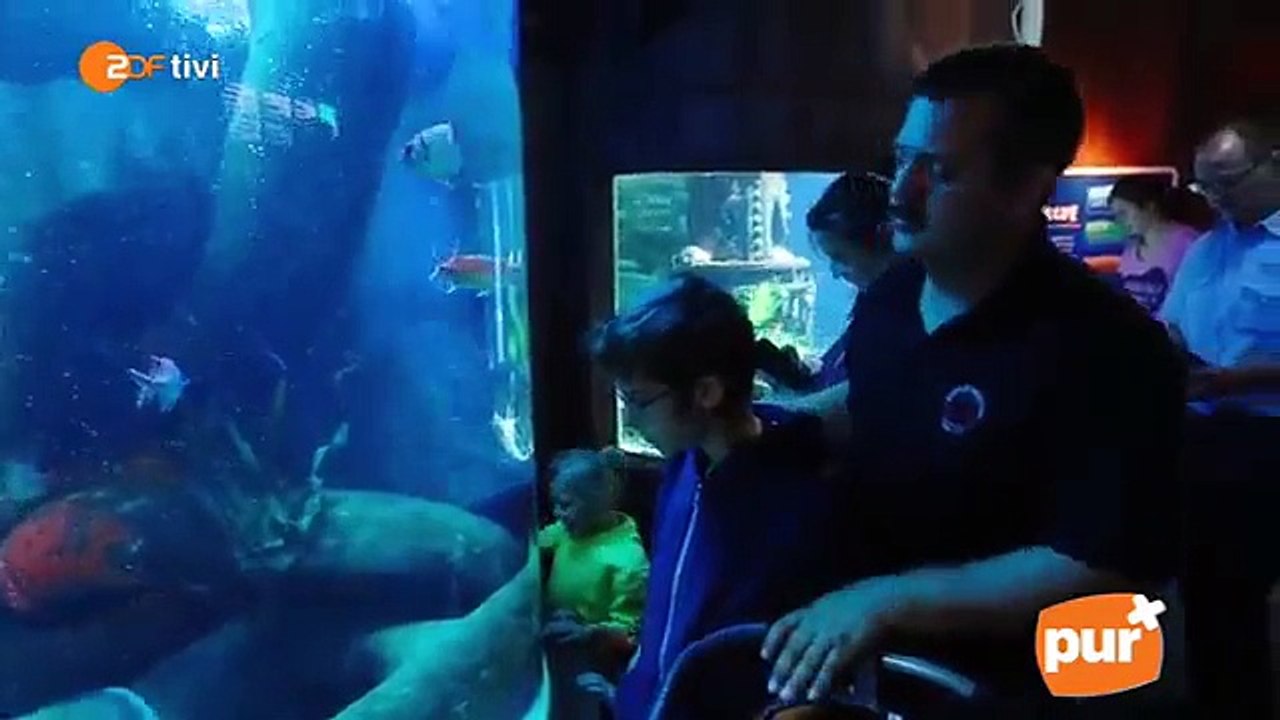 pur+ Staffel 9, Folge 42 Ich bin es wert!