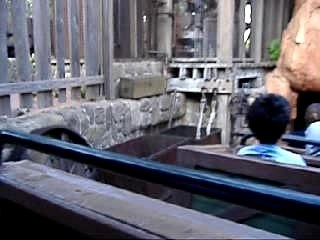 rencontre disney mai 2007