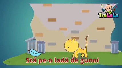 Un motan cat un pisoi cu versuri