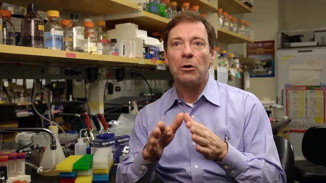 The Cornell University Biological and Biomedical Sciences Graduate Program