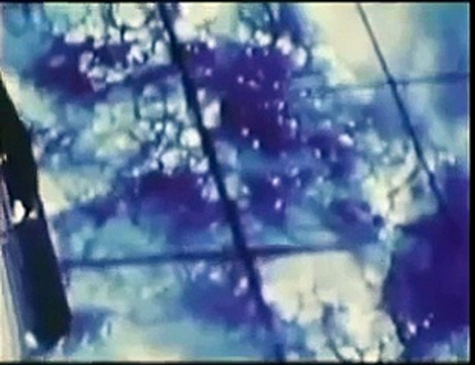 The Aliens Among Us : Documentary on Aliens On Earth (Full Documentary)