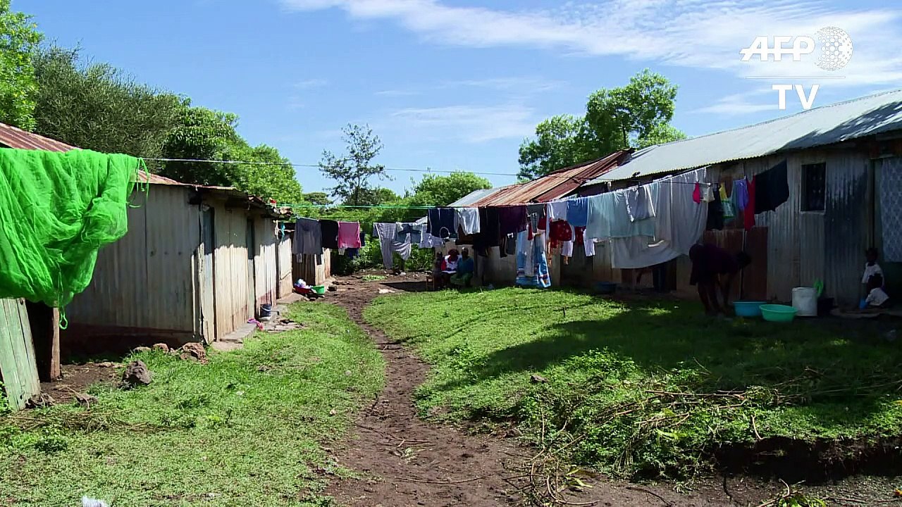 Kenya's Catholics hope Pope will discuss HIV, condoms