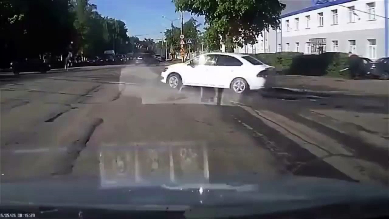 Moose jumps over a car