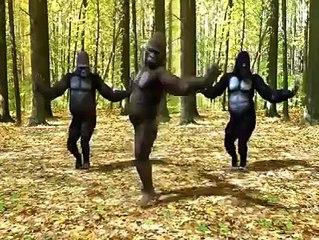 vid-20141105-wa0001-1.mp4