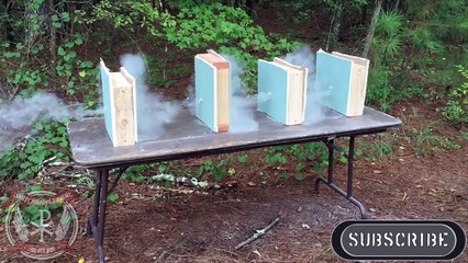 9mm vs .380. Wall Test