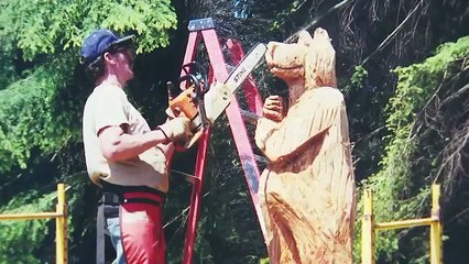 Artist Uses Chain Saw To Cut Down Tree Into Library