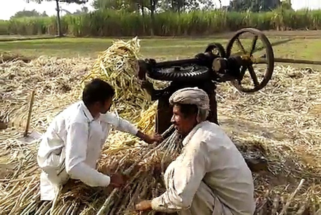 Making Gur in village of gangapur 591 gb