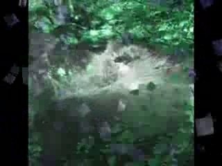 Water jump été 2006