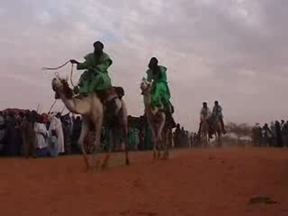 Festival touareg à Gossi
