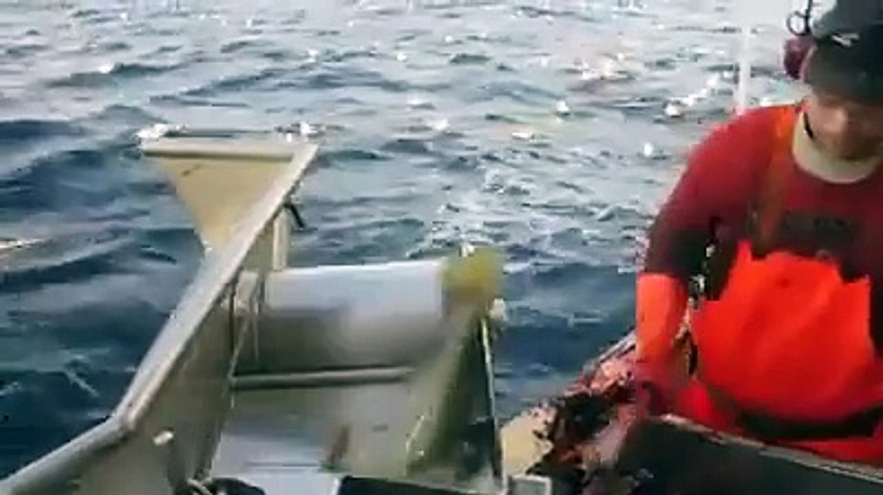 fishing with new style