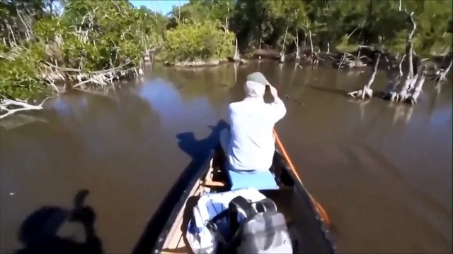 КРОКОДИЛЫ В ШОКЕ!прикол ,ржач!prank ! FANNY VIDEO 2015