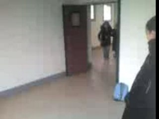 Céline émili gamel