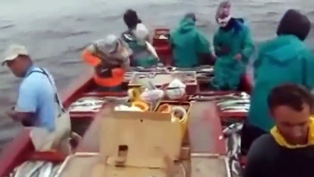 Balıkçılar olta ile rekor kırdılar!!! Muhteşem palamut avı...