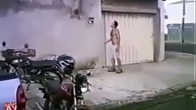 ПИТБУЛЬ залазит на стену, притяжение земли не для него