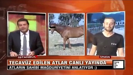 Tecavüze Ugrayan Atların Sahibi Konustu