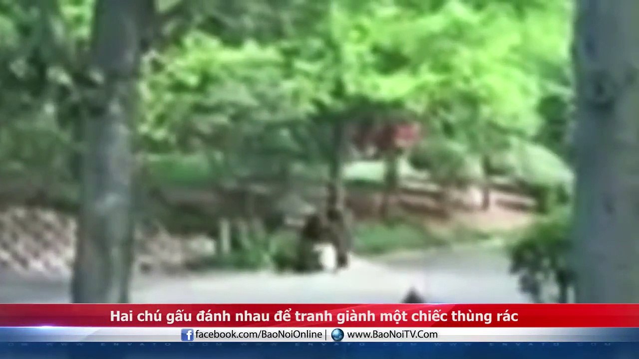 Kỷ lục thế giới- 1.1 triệu con ong bám trên người