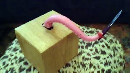 'Littlebits' 'Arduino' knife-wielding tentacle