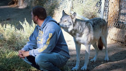 'Living with Wolves Saved My Life'