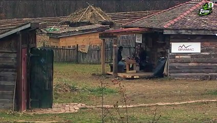 Farma 6 ~ Semir optuzio Tamaru da je upisala poljski WC