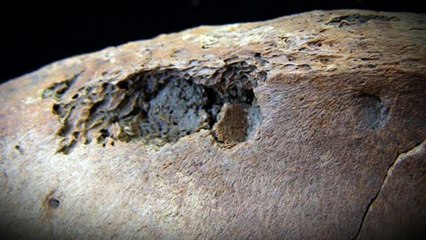 GLADIATORS - BACK FROM THE DEAD (2010) - Docu-Drama