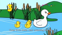 Five Little Ducks Nursery Rhymes by MyVoxSongs