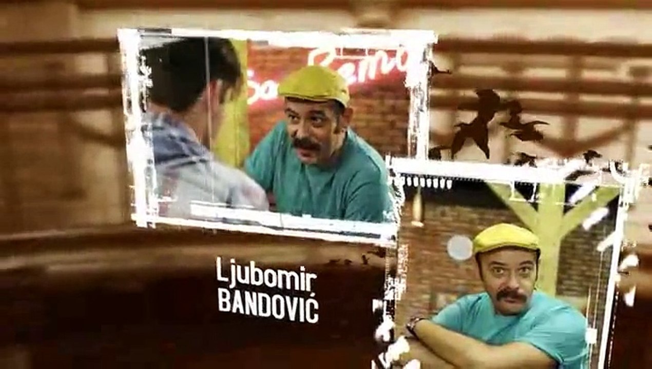 zlnj167
