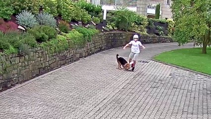 Best Fails of the Week 4 October 2015 || FailArmy