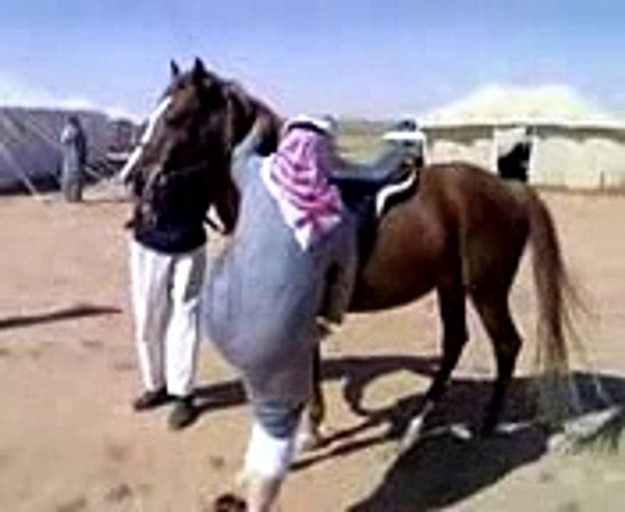 Fun withe horse_vcd0_mpeg4
