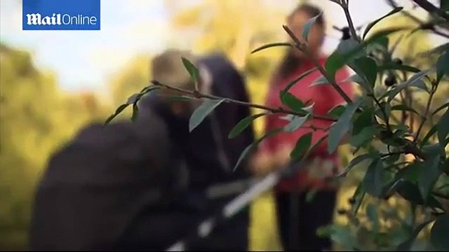 Boy Born To Swedish Mother Who Originally Didnt Have A Womb