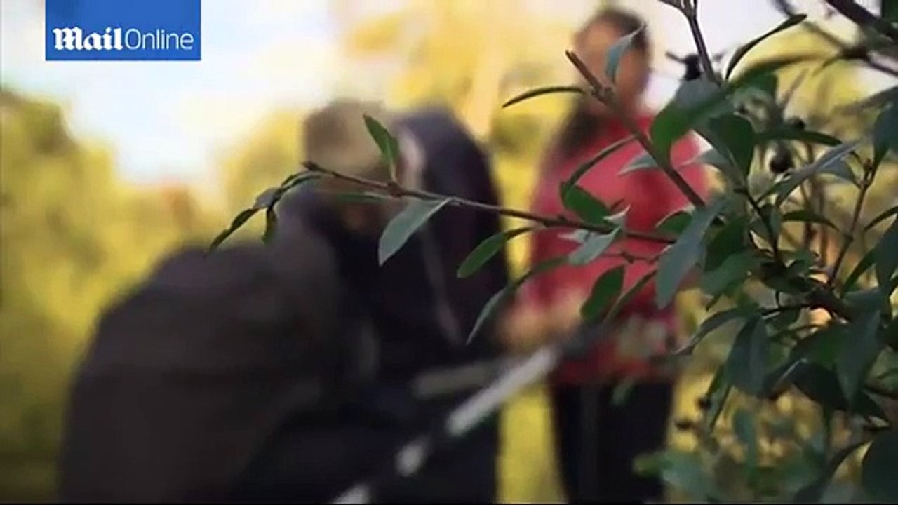 Boy Born To Swedish Mother Who Originally Didnt Have A Womb