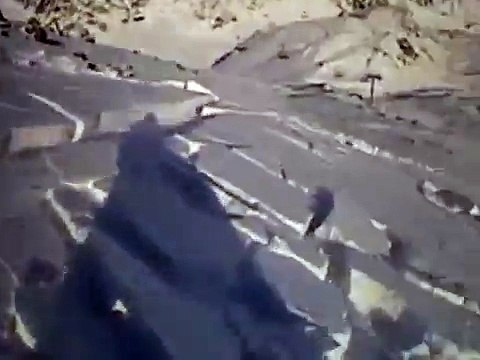 Avalanche kills skiers: Tourists swept away in French Alps near Germanwings crash site