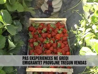 LULESHTRYDHET NE FIER