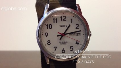 The Effects Of Mixing Vinegar With An Egg - Rubber Egg Experiment