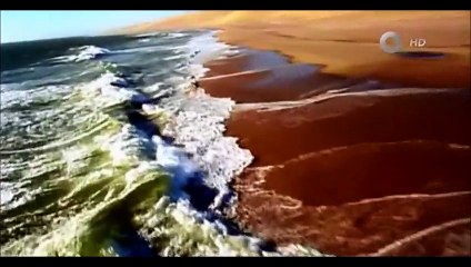 Micromundos de la naturaleza Desierto del namib