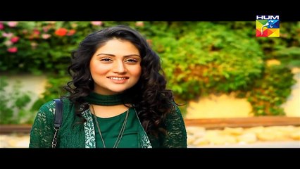 Mr Shamim Episode 37 HUM TV Drama 21 Nov 2015