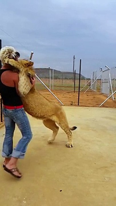 THE GIRL AND THE LION