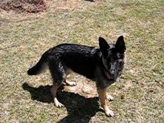 Naïma printemps 2007 067