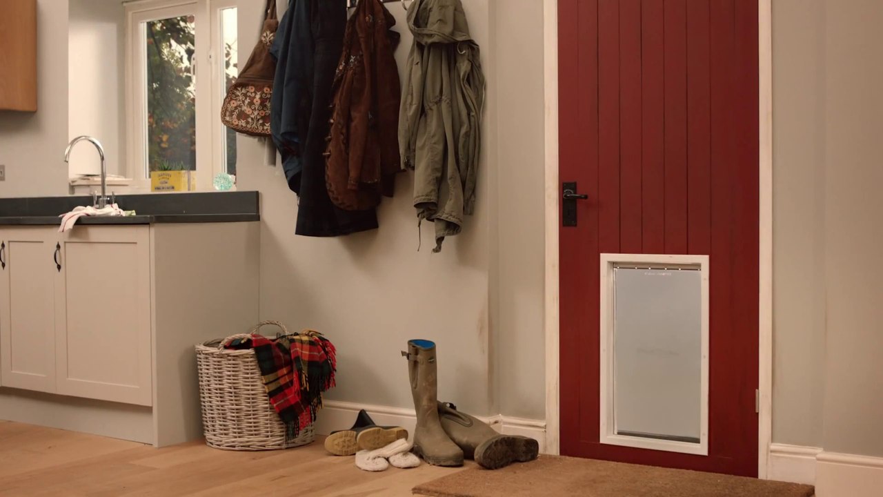 Le petit poney trop craquant - Amazon