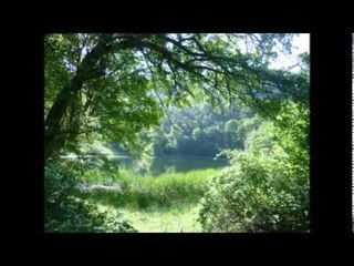 Terk Ettim Köyümü Yar Senin Olsun