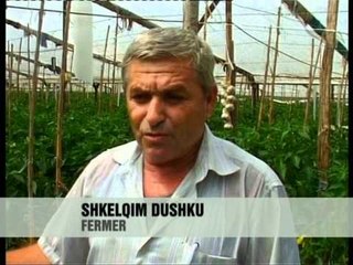 Fermerët e Elbasanit: S'kemi treg - Vizion PLus - News - Lajme
