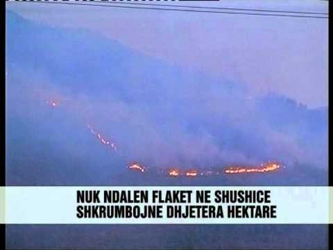 Zjarret ne Vlorë dhe Elbasan - Vizion Plus - News - Lajme