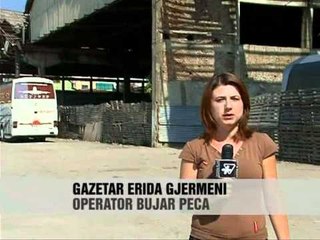Dezinsektimi i plazheve shqiptare - Vizion Plus - News - Lajme